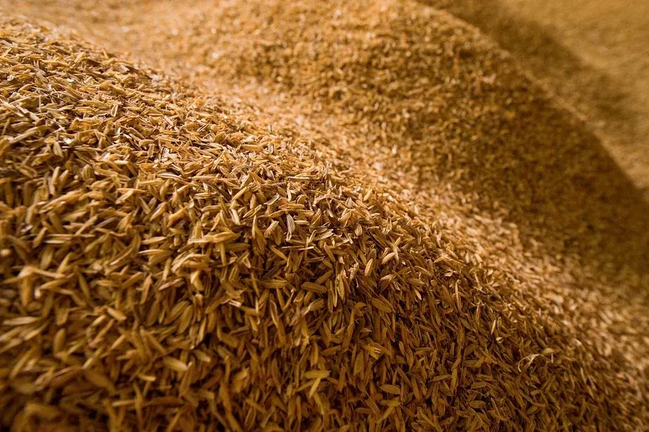 Rice husk at the Ambika Biotech mill in Sambalpur, Odisha — feedstock for high-silica Rice Husk Ash